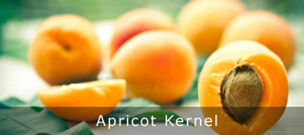 Apricot Kernel